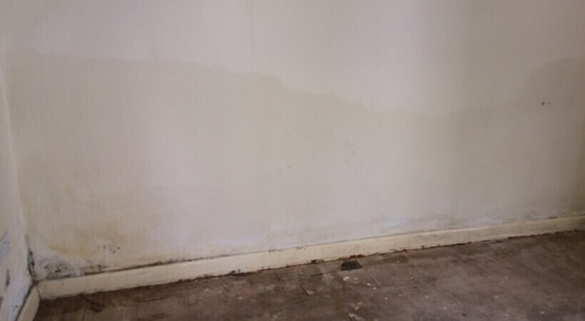 Damp Proofing