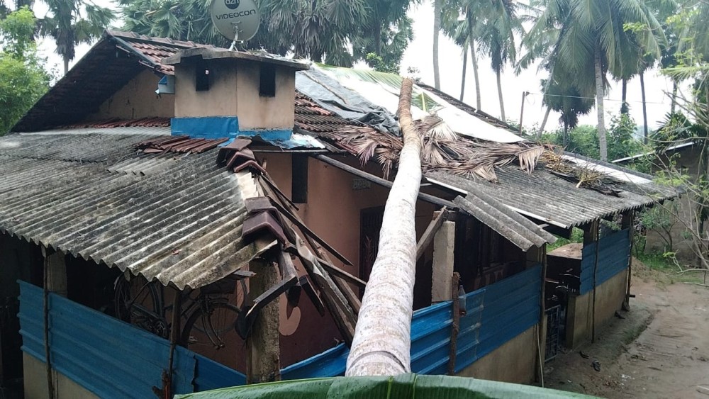 தென்னை வீட்டின் மேல் வீழ்ந்து சேதமாக்கியது 