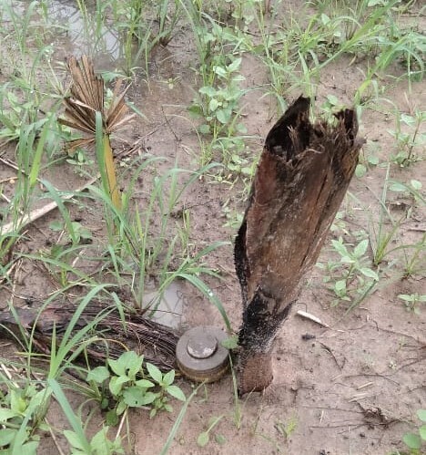 பலவகைச் செய்தித் துணுக்குகள்