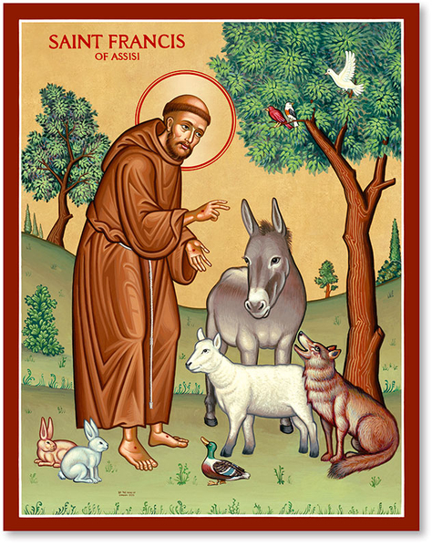 St Francis a paragon of Soul Rewilding 