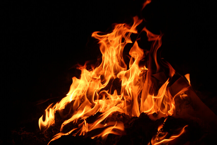 The Root Cause of Timeshare Exit Scams