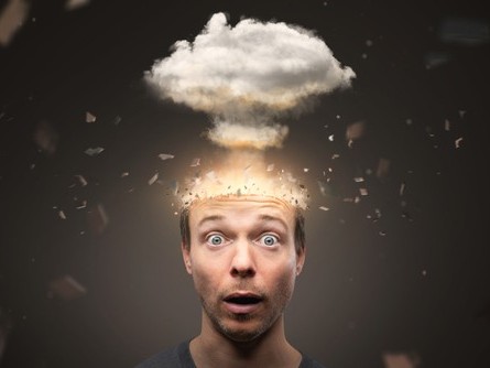 The Physiology of Timeshare Scams: Exploiting Human Psychology for Deceptive Gains