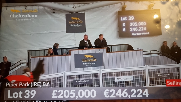 Tattersall Sale at Cheltenham Racecourse Friday 15th December 2023