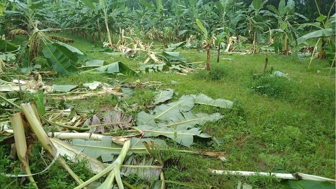 பலவகைச் செய்தித் துணுக்குகள்