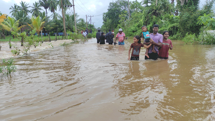 முல்லையில் தொடரும் மழையின் அனர்த்தங்கள்