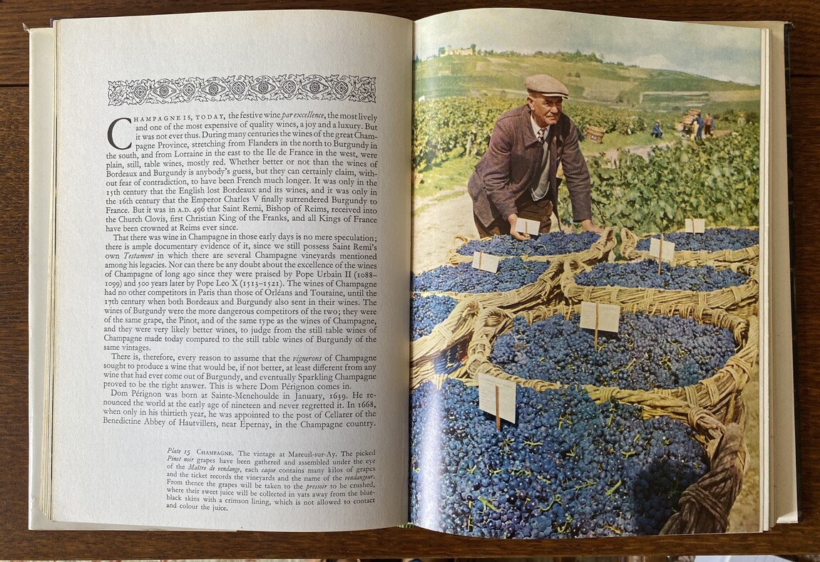 Wine Writing In Extremis