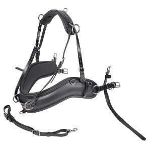 Empathy Pairs Collar Set