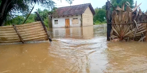 பலவகைச் செய்தித் துணுக்குகள்