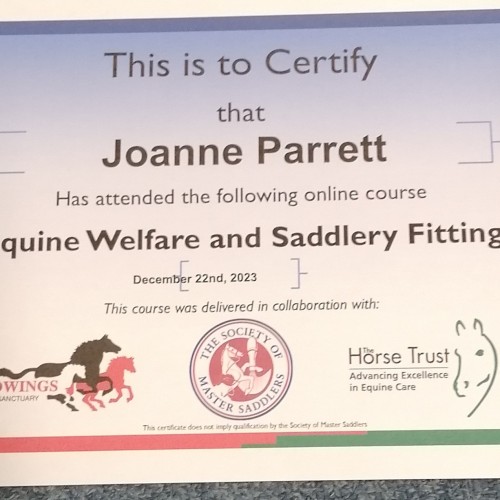 Online Course Completed 'Equine Welfare & Saddlery Fitting'