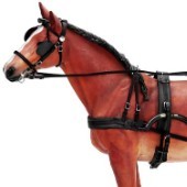 Customer Testimonial