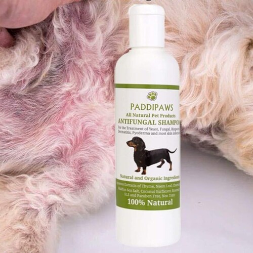 100% Natural Anti-Fungal & Anti-Bacterial Dog Shampoo