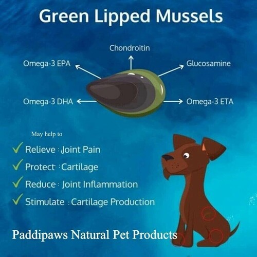 Green Lipped Mussel for Dogs - 90 Capsules  500mg