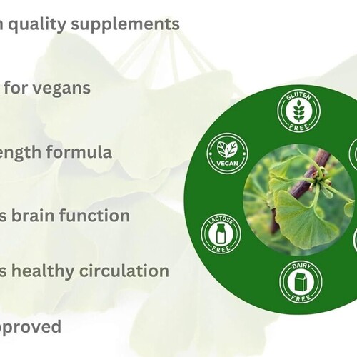 Ginkgo-Biloba 90 Capsules