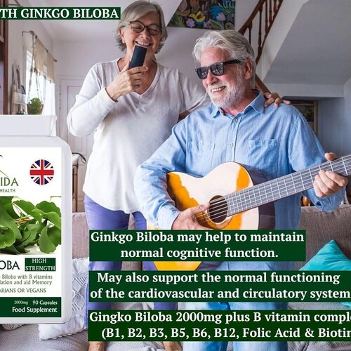 Ginkgo-Biloba 90 Capsules