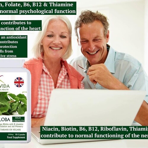 Ginkgo-Biloba 90 Capsules