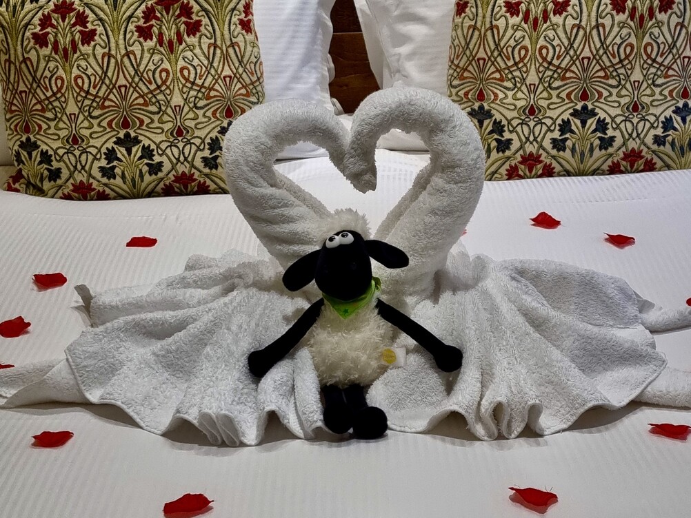 Two Bedroomed Apartment