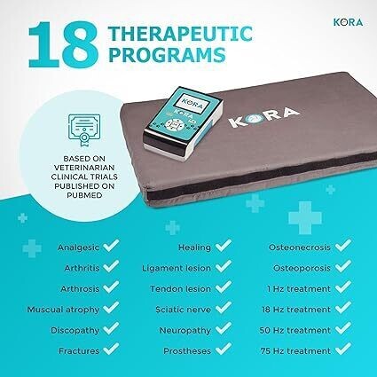Kora Therapy Bed