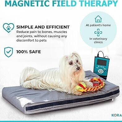 Kora Therapy Bed