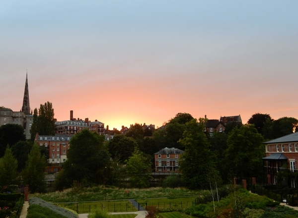 *IN THE LOOP FEBRUARY-APRIL 2024*