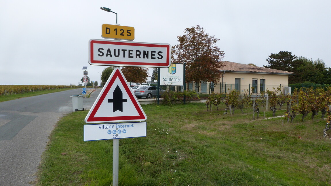 The Most Undervalued Wines in the World are.....