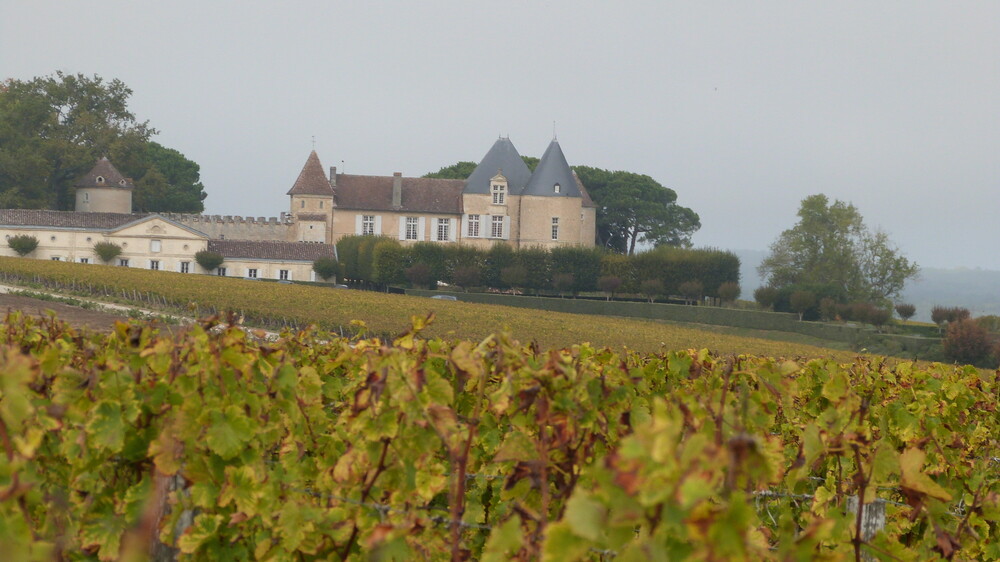 The Most Undervalued Wines in the World are.....