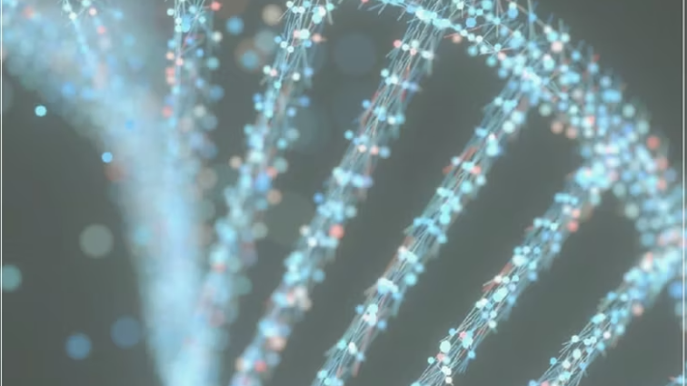 MTHFR & Other Methylation Gene Polymorphisms in Psychiatric Disease & An Evidence-Based Treatment Option