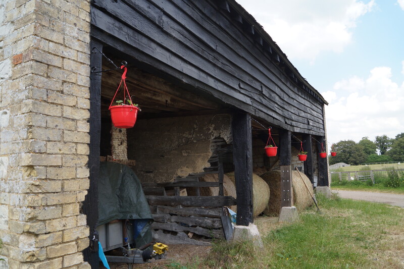 Barn in Cambridge