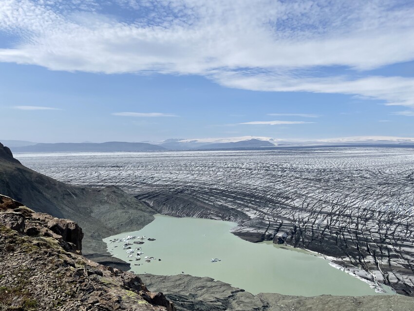 Wild Iceland - Expedition. Nupstaðarskógar