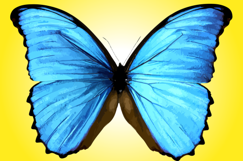 Thyroid Awareness Month