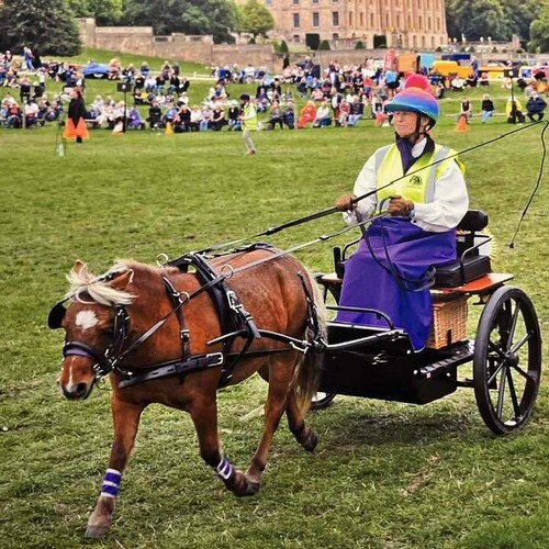 SL Single Harness Set (Sliding)