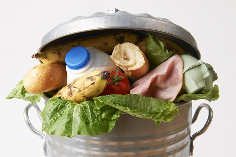 Food Waste: Transforming the spoiling into the sublime!