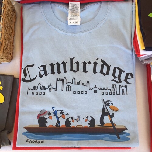 'Punting in Cambridge' Adults Tee