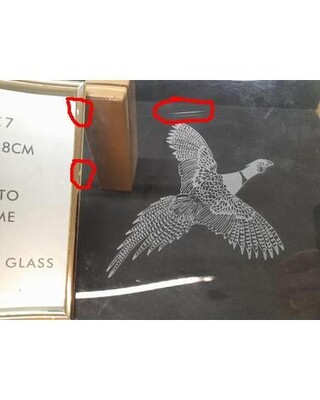 Engraved Curved Glass Picture Frame with Pheasant