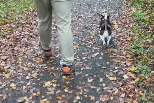 Ruby explains policies