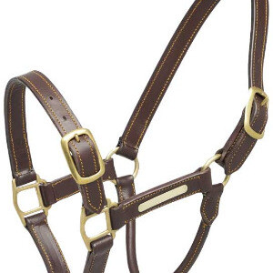 Leather Head Collar