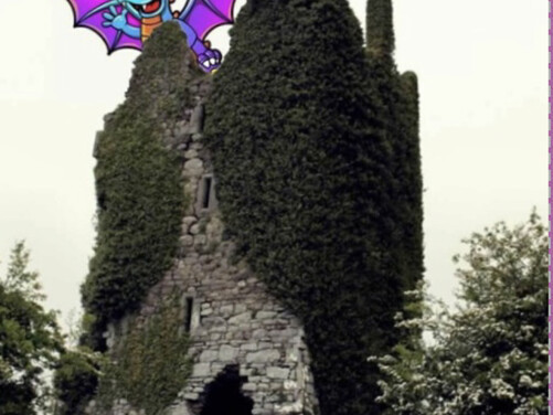 DragonzDen | Indoor Soft Play Area Waterford | Indoor Activities for Kids Waterford City | Day Out with Children Kilkenny