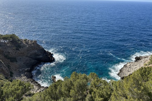 December - A Round Up Of the Year