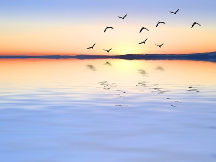 26 Timeshare Victims Die While Waiting For Justice