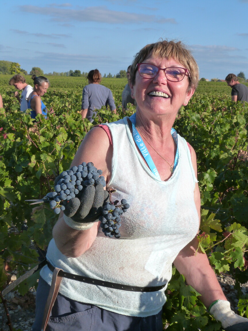 Bordeaux 1855: A Guide to the Grands Crus Classés