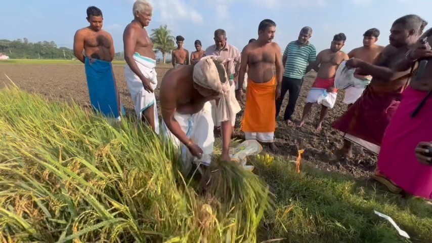 பாரம்பரிய முறைப்படி தைப்பூசத் தினத்தில் நெற்புதிர் வழங்கும் வைபவம்