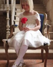 Black/Gold - Night Sky