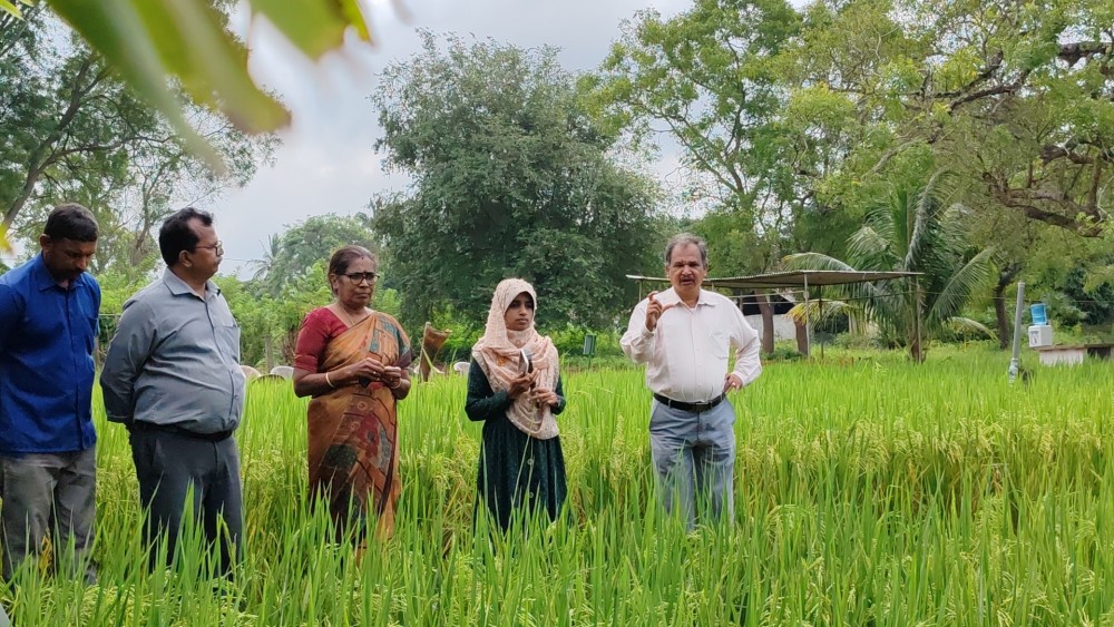 வவுனியாவில் வயல் விழா