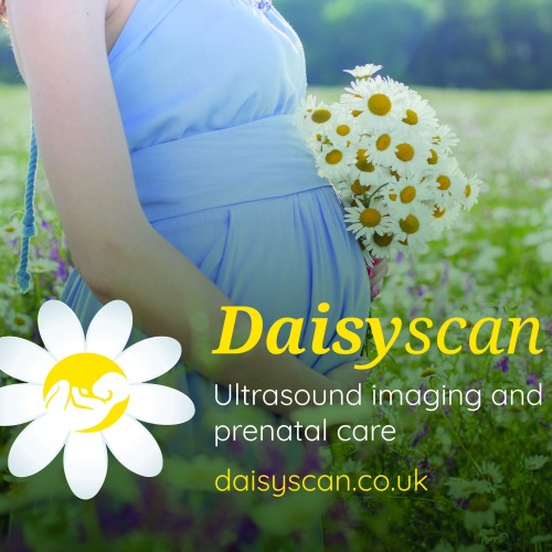 Is an Early Pregnancy Scan the Best Choice?