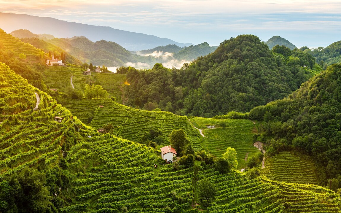 Once in a while all the wines show really well