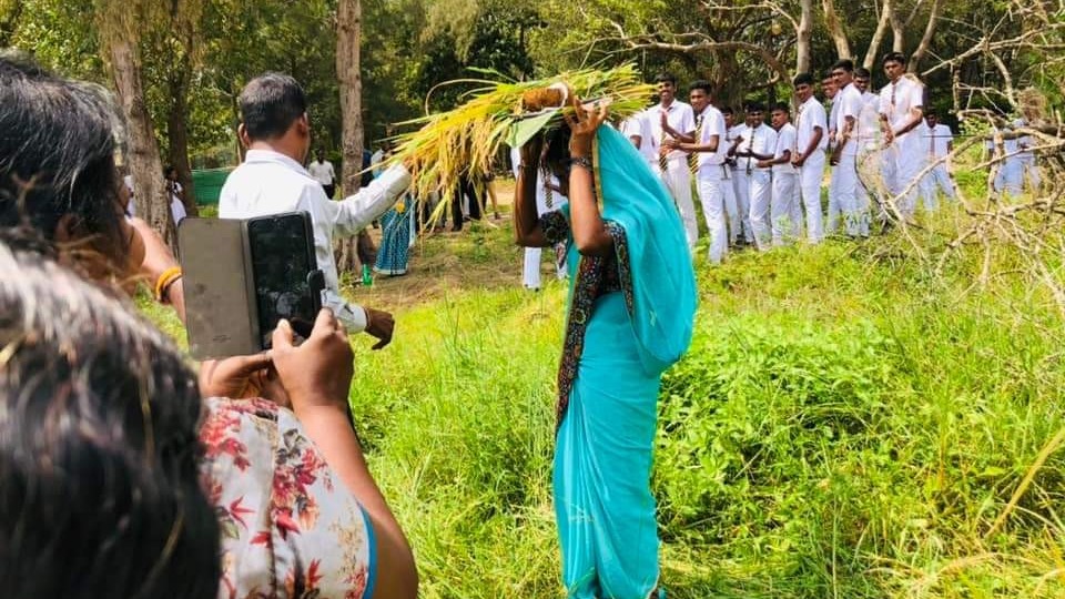 பாடசாலை வரலாற்றில் முதல் முதலாக இராணுவத்தால் விடுவிக்கப்பட்ட காணியில் நெல் அறுவடை விழா