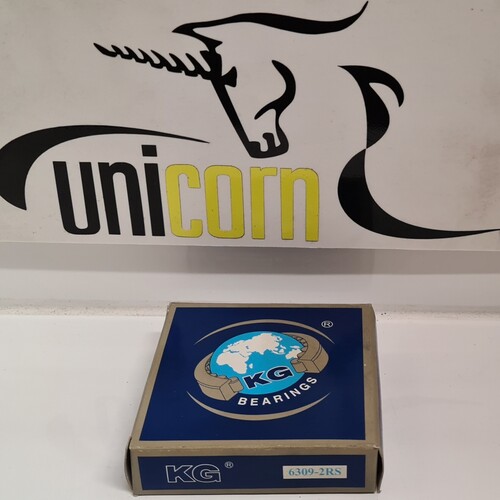 6309 2RS KG