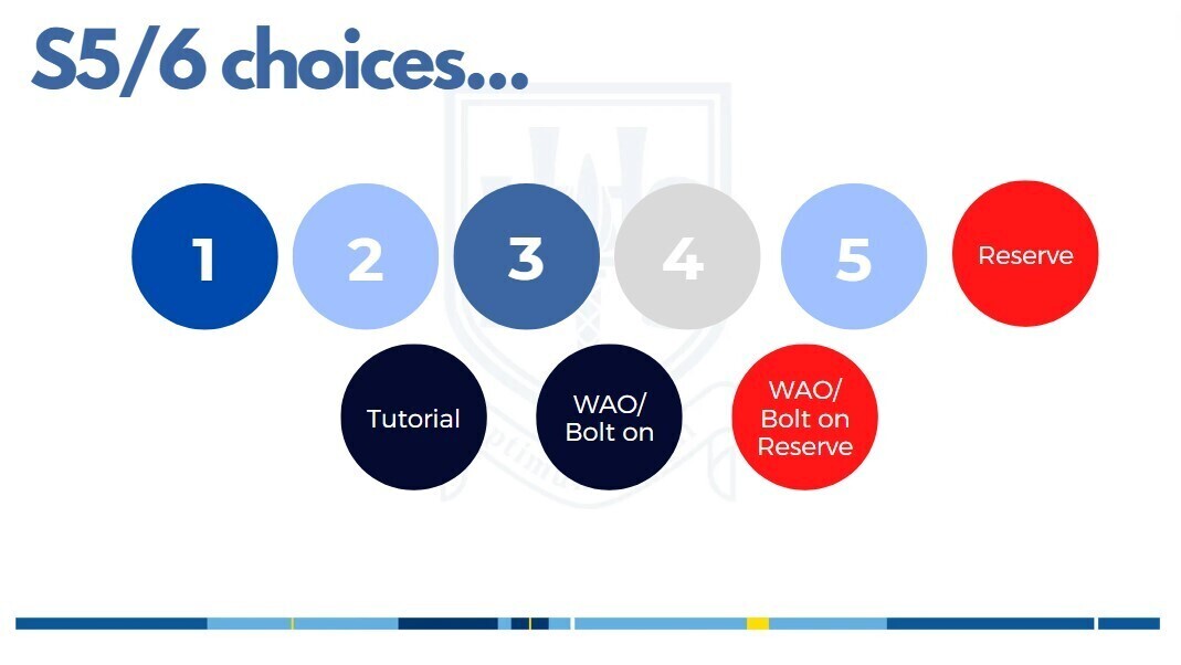Curriculum Review Subjects - S5/6