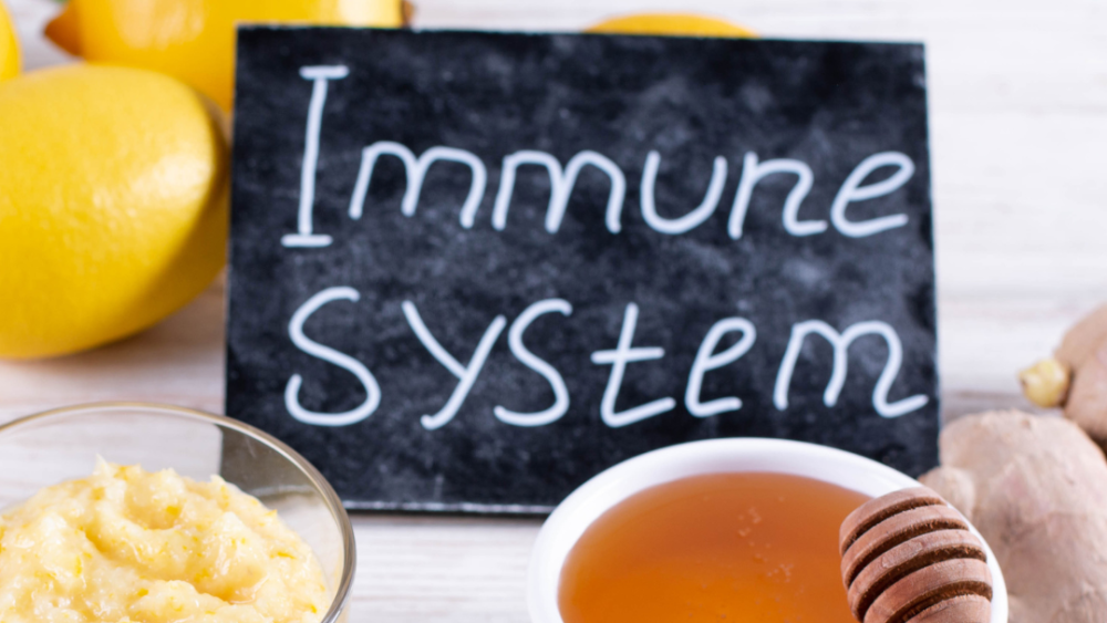 Understanding Immune Senescence: The Aging of Our Body's Defenders