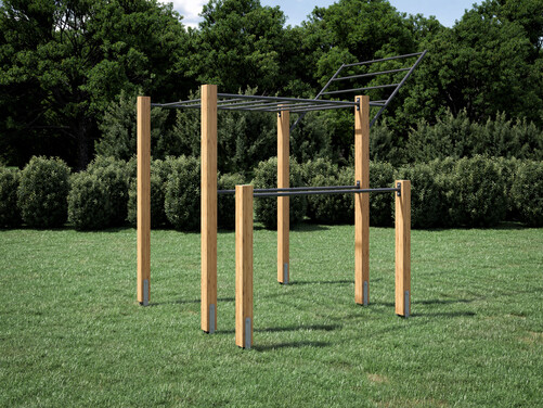 Monkey bar/wing bar combo and parallel bars
