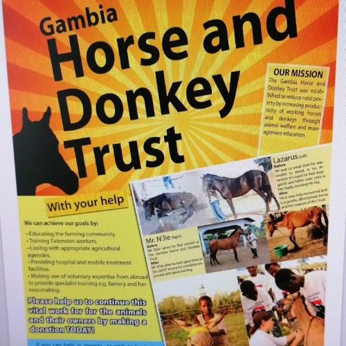 Charity Chosen - Gambia Horse & Donkey Trust